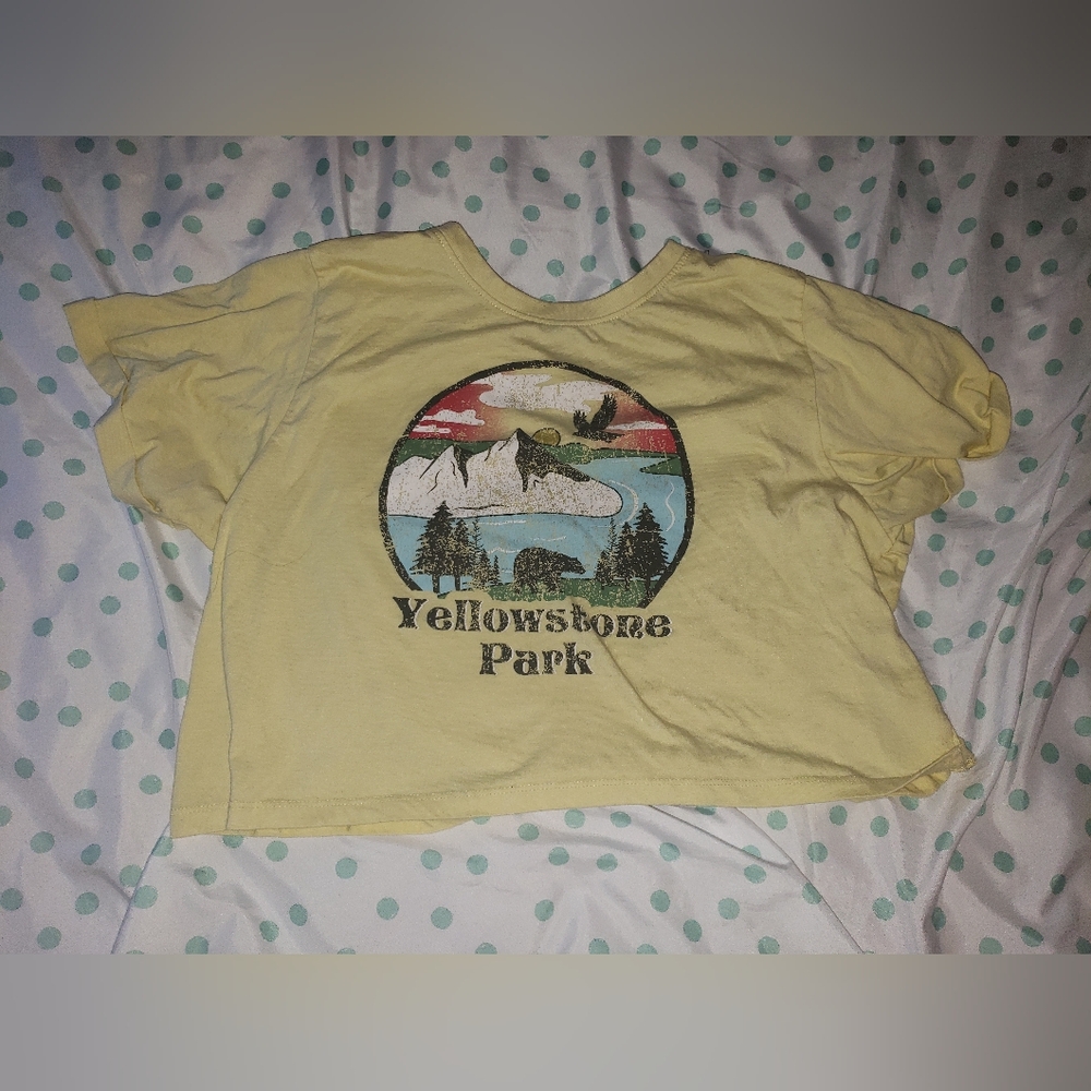 Yellowstone Park yellow crop top